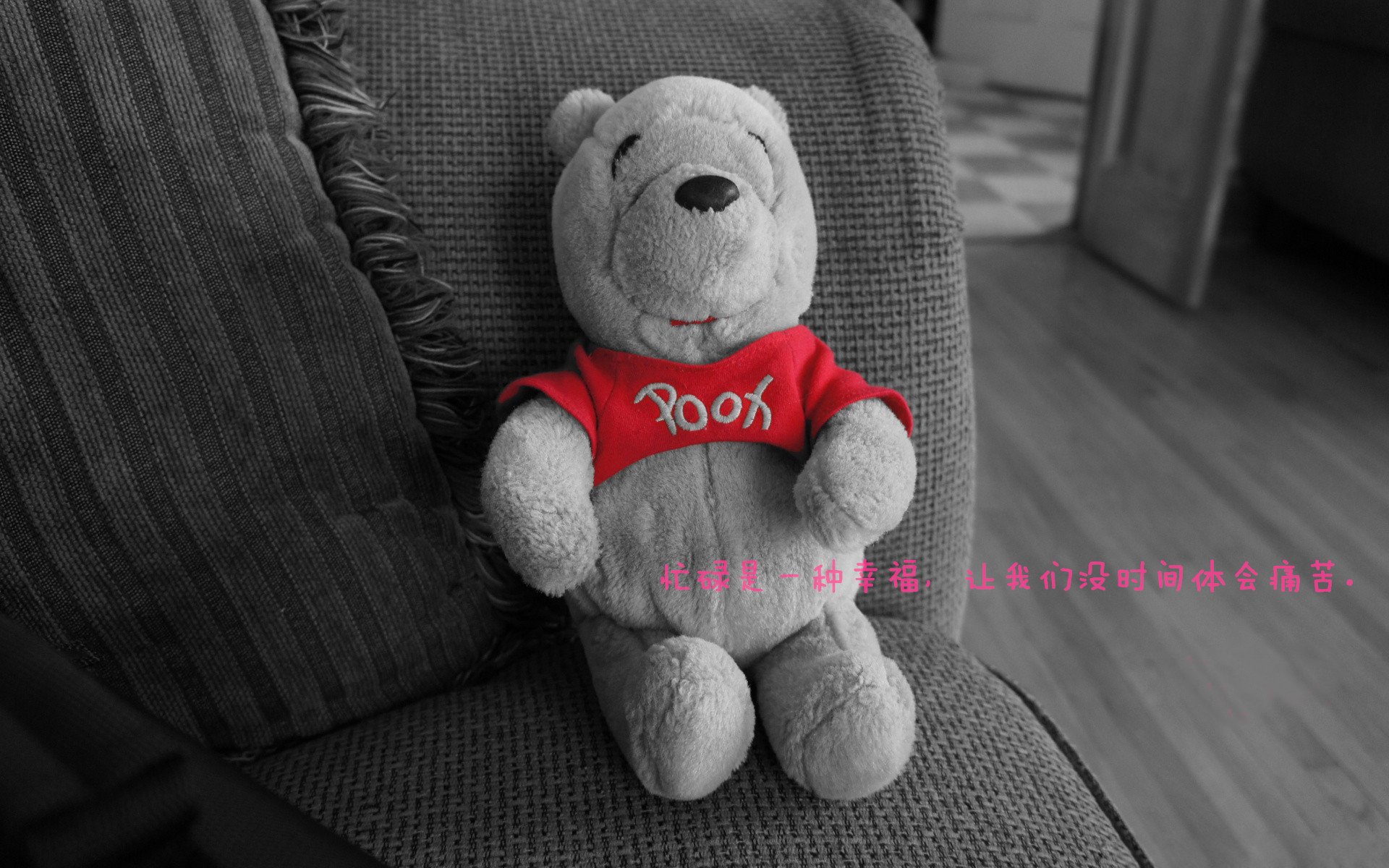 华体会app-新熔炉的化学反应，布克内敛王牌助力热火冲垮上海队