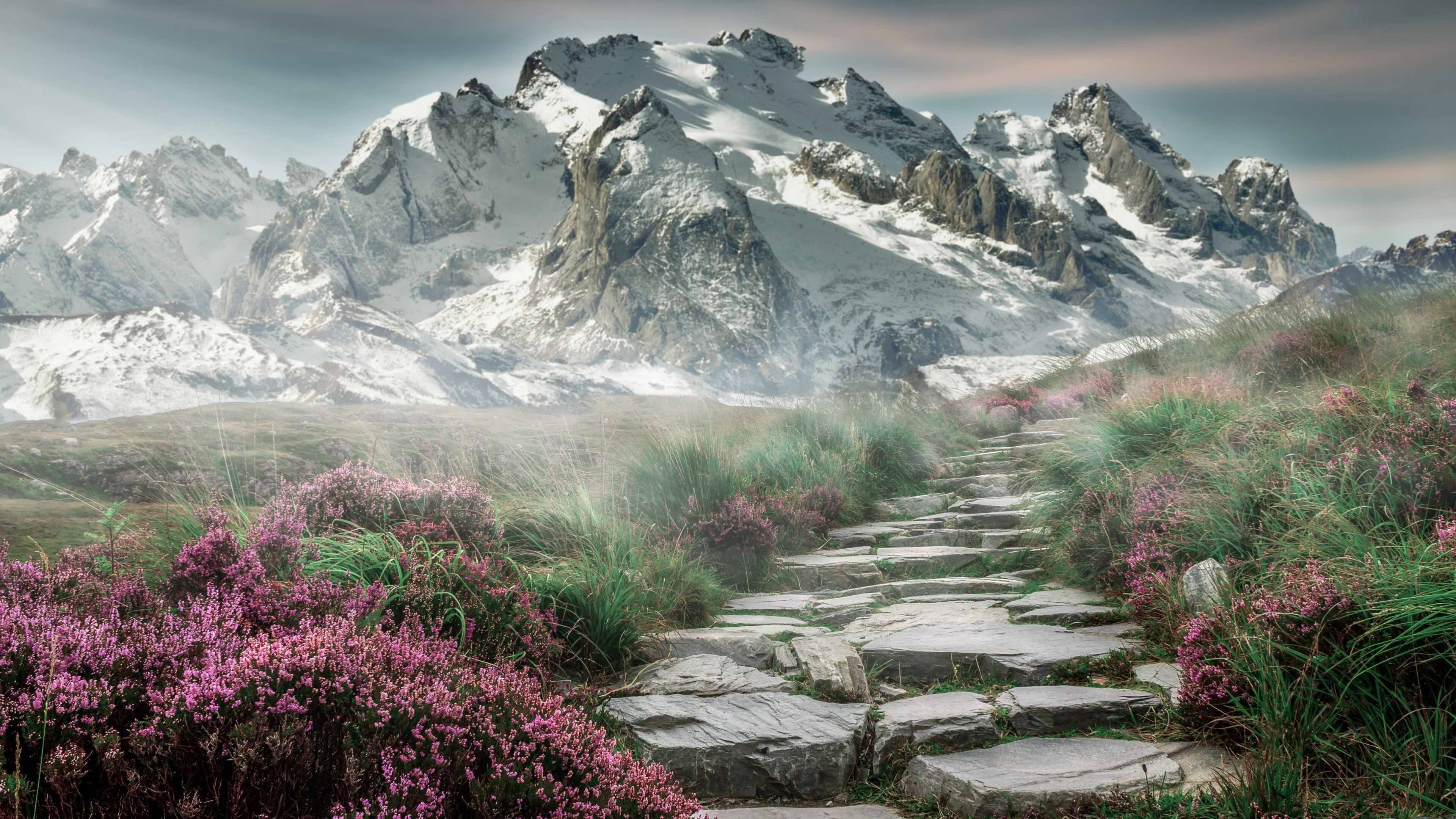 双面足球，阿尔及利亚血脉制霸法兰西，哈兰德魔人降临亚平宁